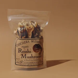 dried reishi mushroom